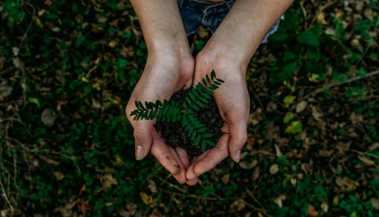 Read more about the article Understanding Effective Altruism: Background, Key Ideas, and Influential Supporters