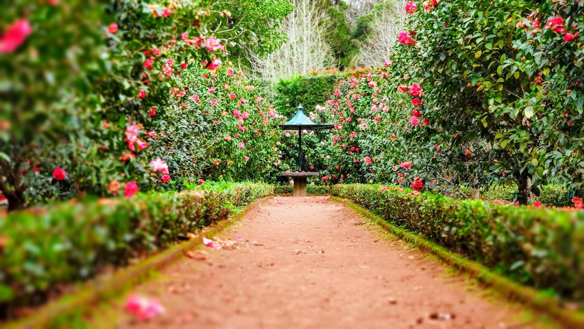 Read more about the article Robots in the Sentient Garden: How Anthropic’s Model Hardware Standard Brings AI Guardianship to OmOrenda